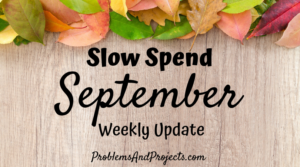 Read more about the article No Spend Month Update Week 1