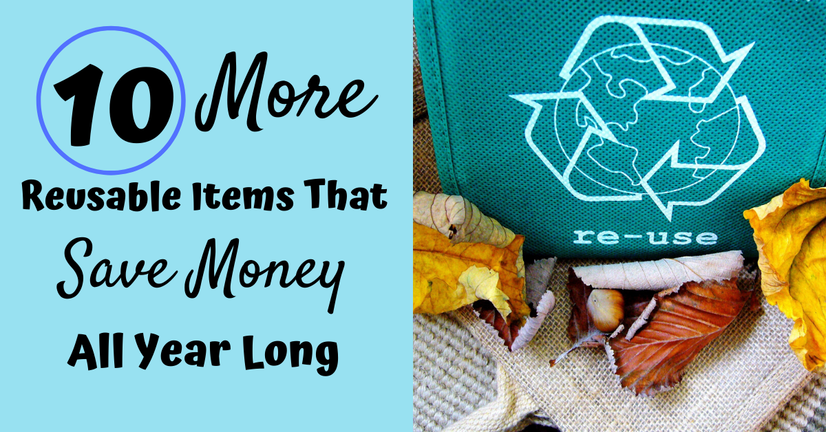 Read more about the article 10 More Reusable Items That Save Money All Year Long