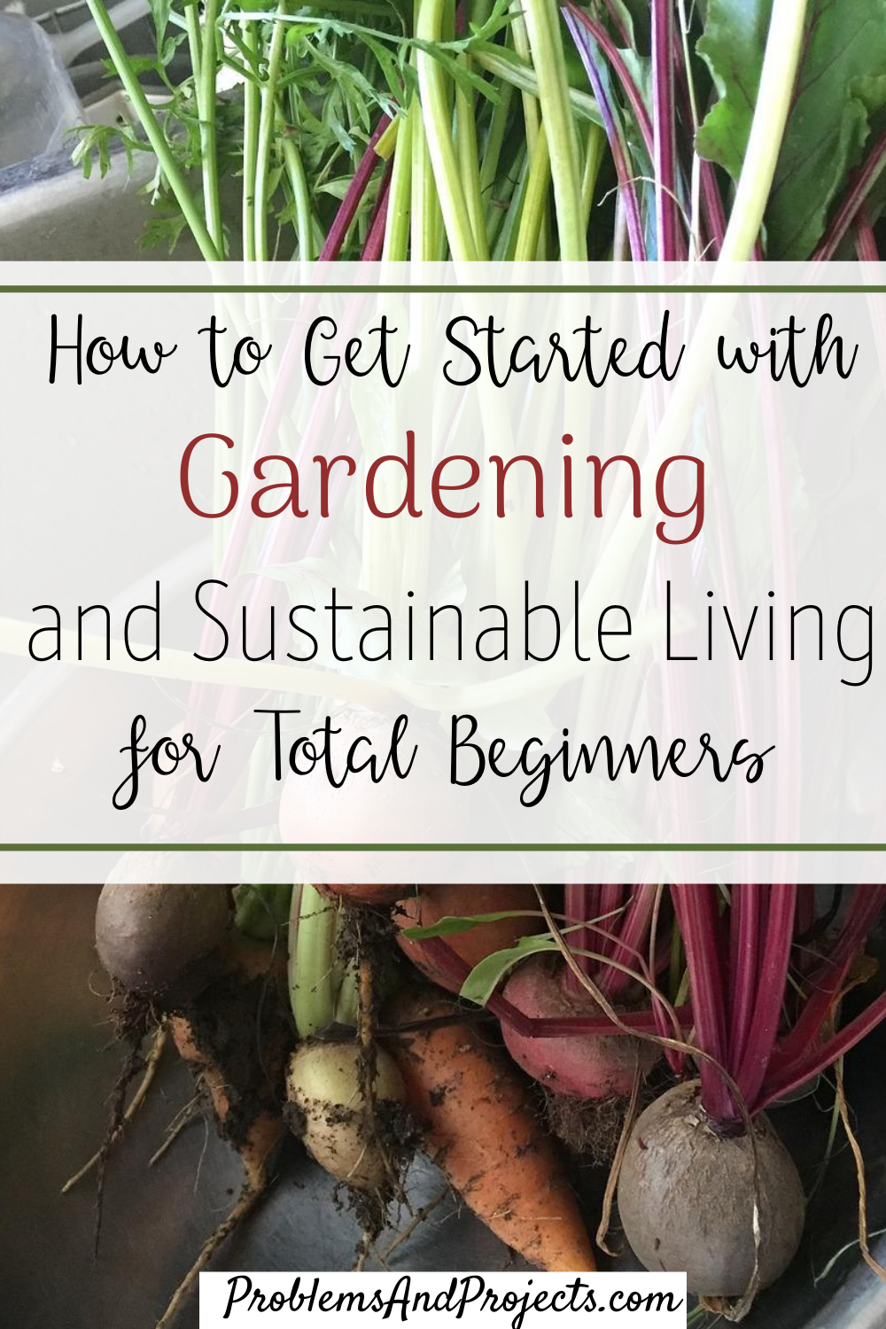 You are currently viewing Gardening and Sustainable Living Made Easy