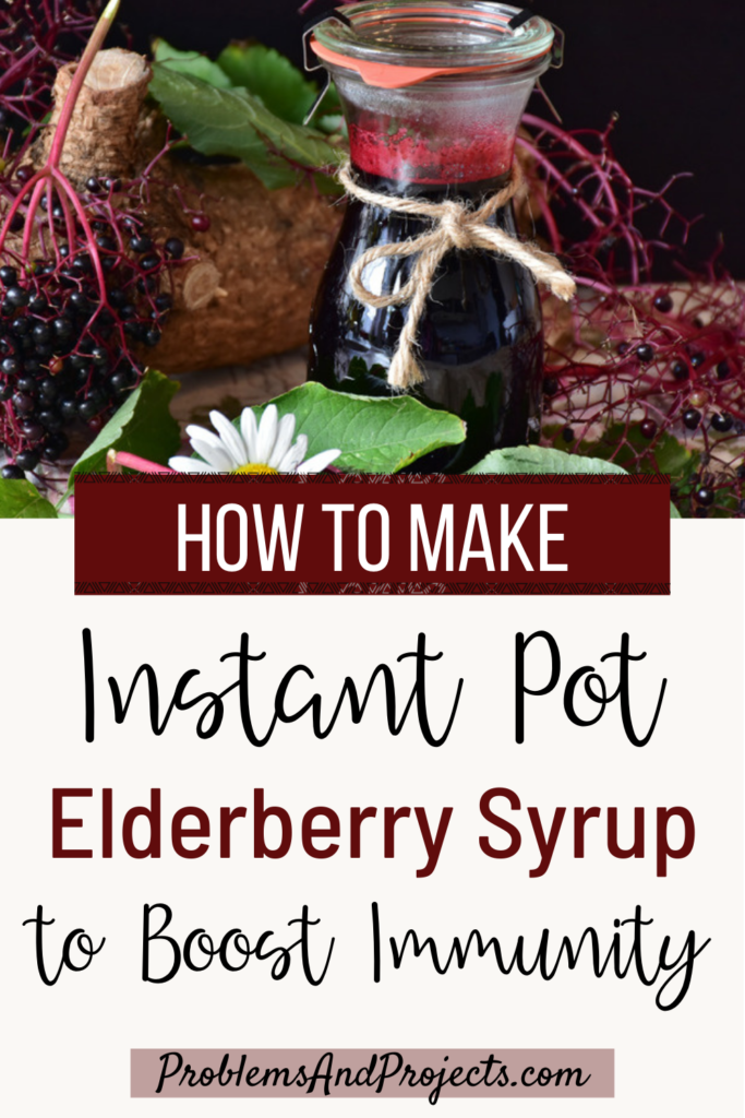 How To Make Quick And Simple Instant Pot Elderberry Syrup - Problems ...