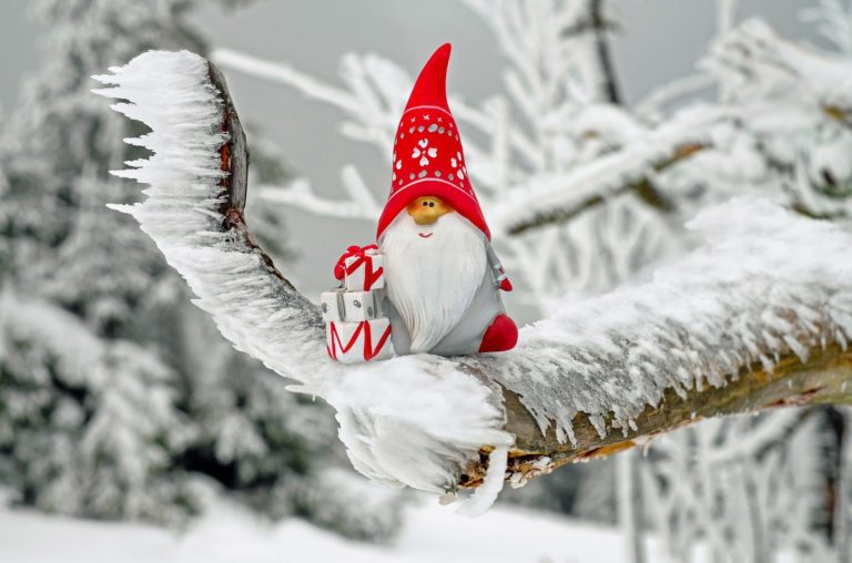 Tomten gnome on frozen tree branch