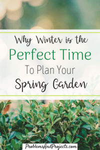 Read more about the article Why Winter is the Perfect Time to Plan Your Garden