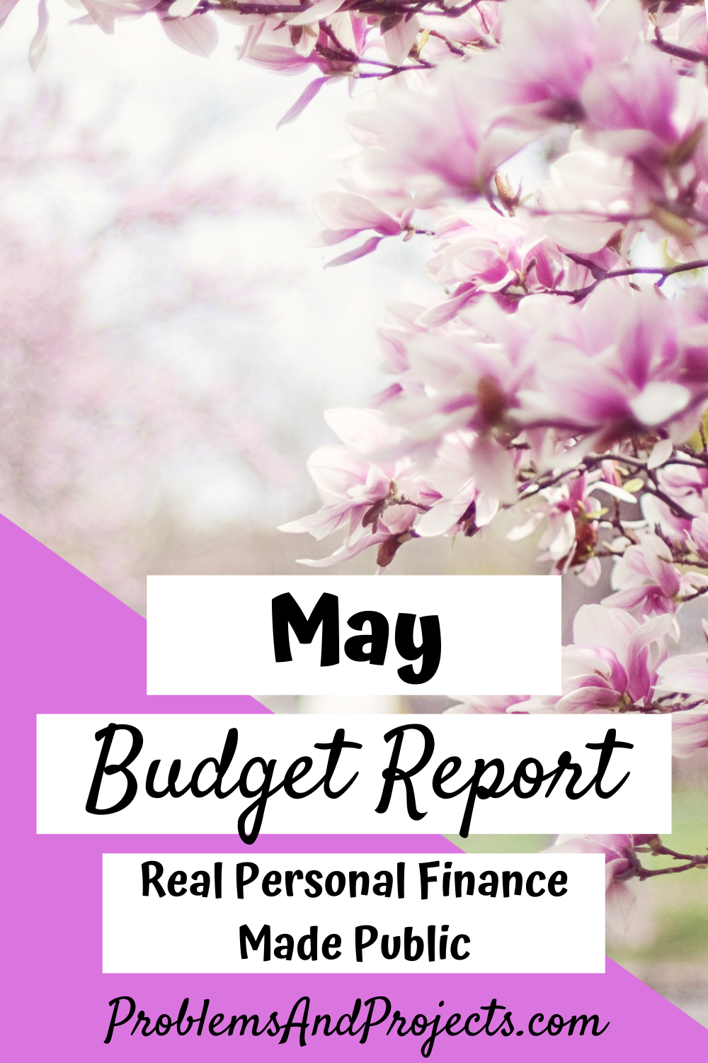You are currently viewing Budget Report – May 2021 Personal Finance